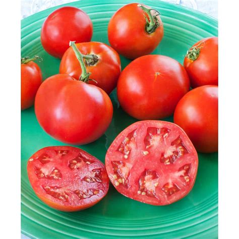 bonnie tomato plants|bonnie tomato plants for sale.